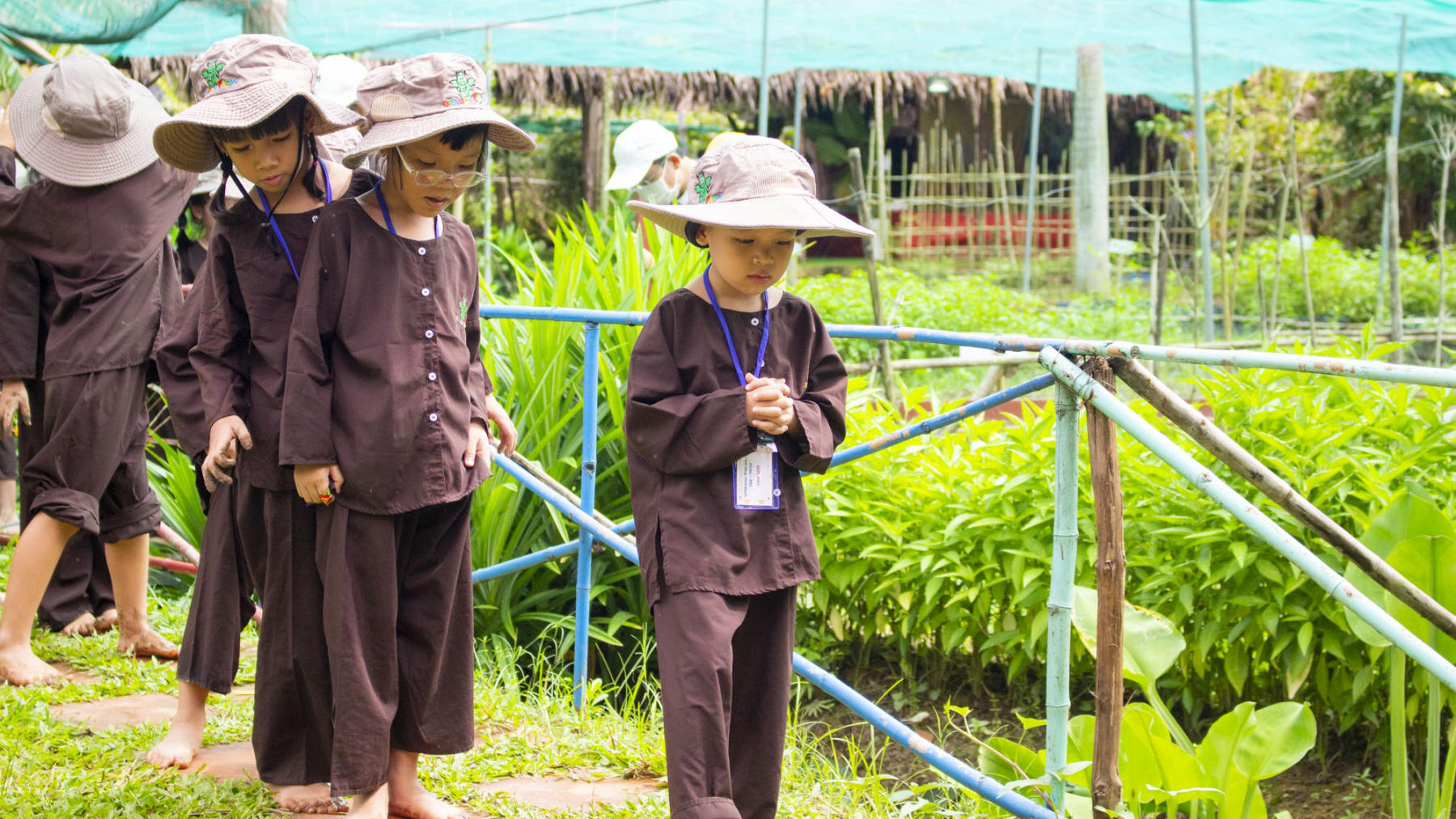 Field trip Dragon Farm (Khối Pre -1)